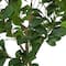 59" Green Faux Foliage Indoor Outdoor Fig Artificial Tree with Black Melamine Pot